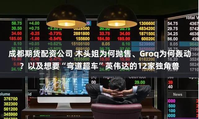 成都期货配资公司 木头姐为何抛售、Groq为何轰动？以及想要“弯道超车”英伟达的12家独角兽