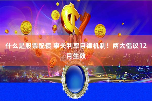 什么是股票配债 事关利率自律机制！两大倡议12月生效