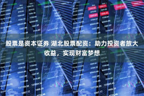 股票是资本证券 湖北股票配资：助力投资者放大收益，实现财富梦想