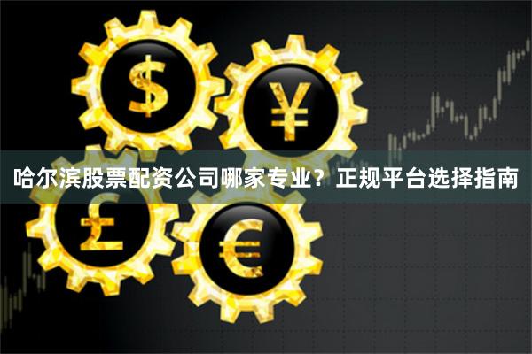 哈尔滨股票配资公司哪家专业？正规平台选择指南