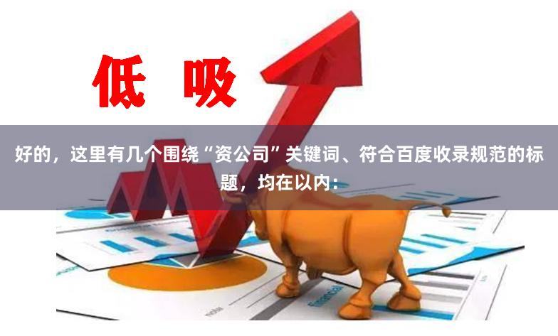 好的，这里有几个围绕“资公司”关键词、符合百度收录规范的标题，均在以内：