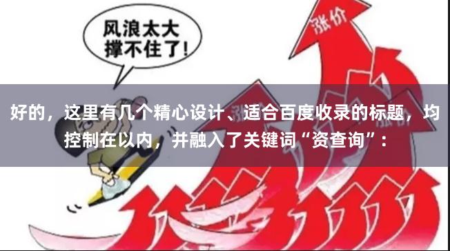好的,这里有几个精心设计、适合百度收录的标题,均控制在以内,并融入了关键词“资查询”: