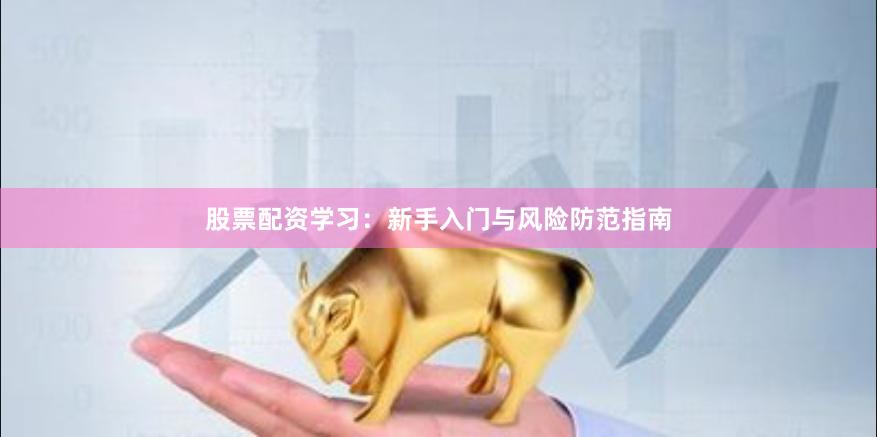 股票配资学习：新手入门与风险防范指南